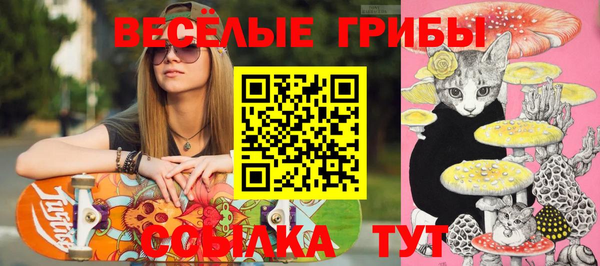 Псилоцибиновые грибы мицелий Кольчугино
