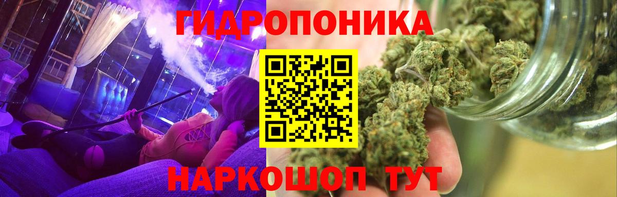 Каннабис ГИДРОПОН Кольчугино